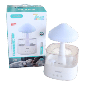 Rain Cloud Himidifier