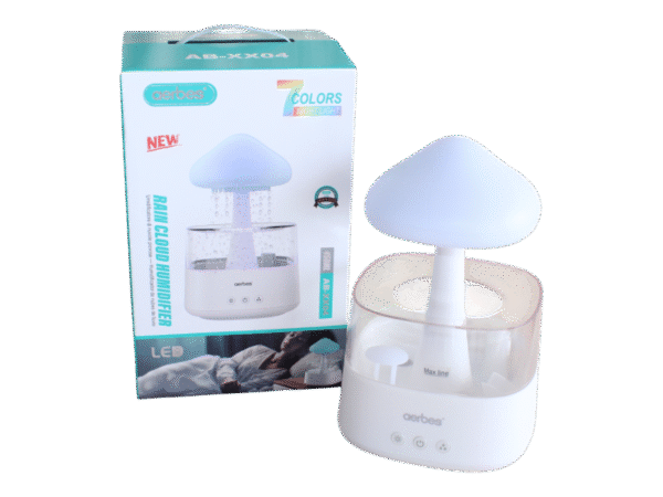 Rain Cloud Himidifier