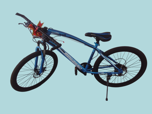 Bicicleta #26