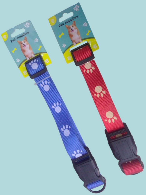 Collar para mascotas ajustables a su tamaño.