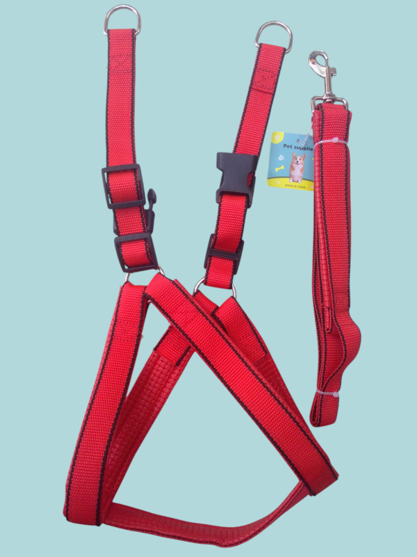 Pechera ajustable con su correa.