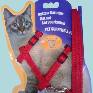 Pechera y correa para pasear gato.