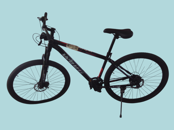 Bicicleta #