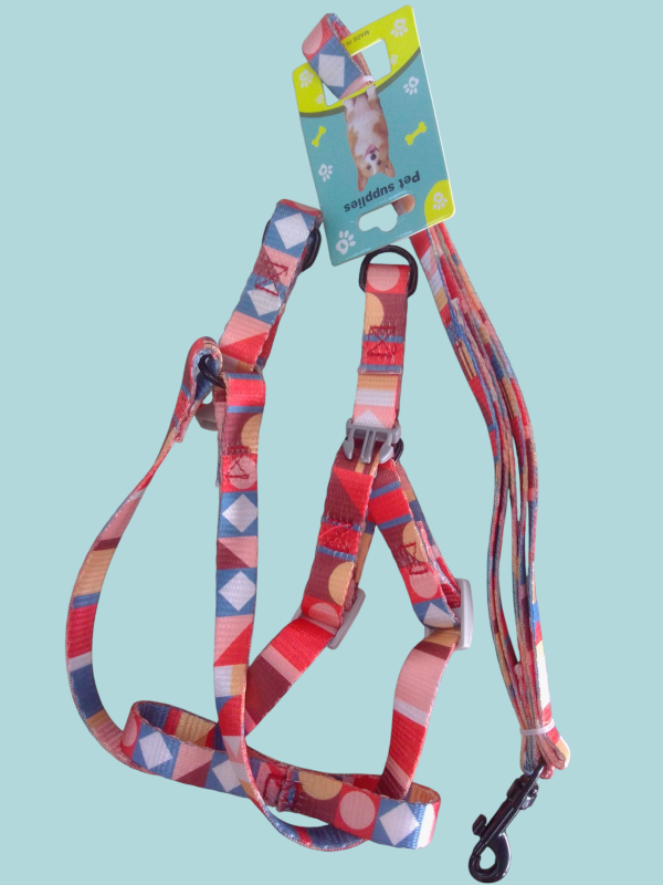 Collares para mascotas a su medida.