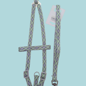 Pechera con correa para pasear mascotas.