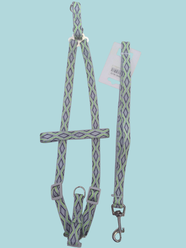 Pechera con correa para pasear mascotas.
