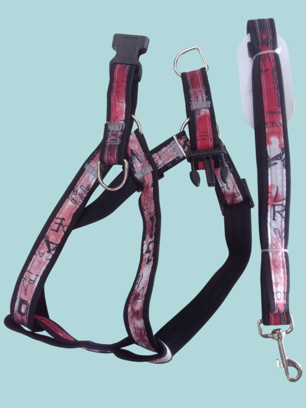 Pecheras con correas para mascotas. - Imagen 2