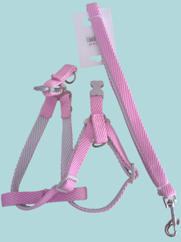 Pechera ajustable con su correa para pasear con su mascota.