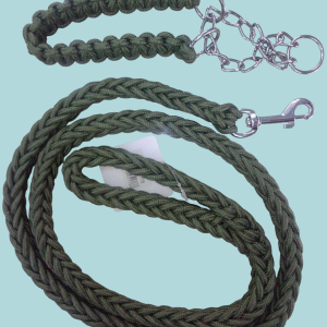 Collar con correa para pasear mascotas.
