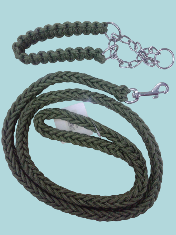 Collar con correa para pasear mascotas.