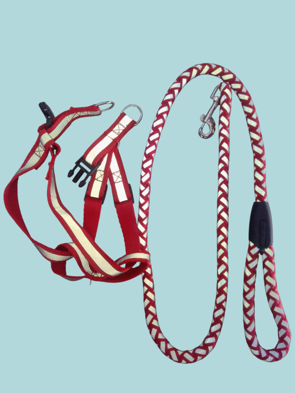 Pecheras con Correas para mascotas.