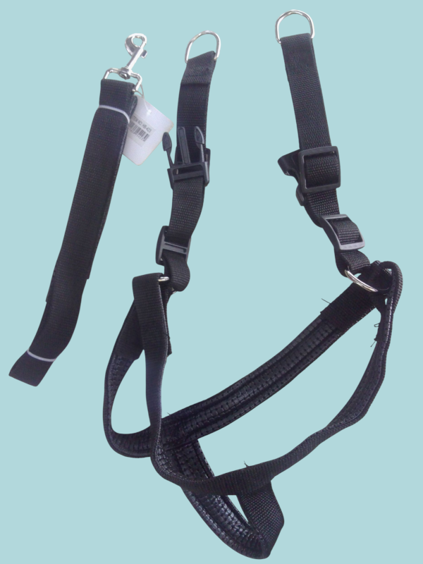 Pechera con correa para pasear mascotas.