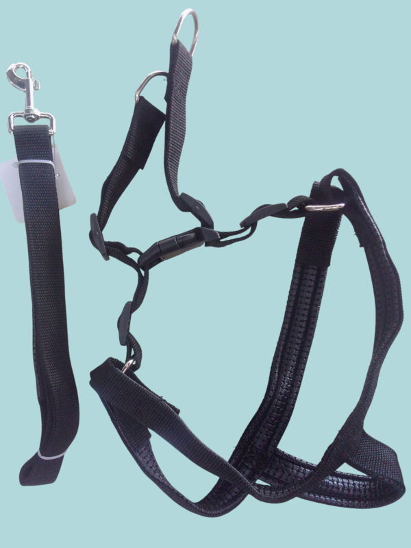 Pechera con correa para pasear mascotas. - Imagen 2