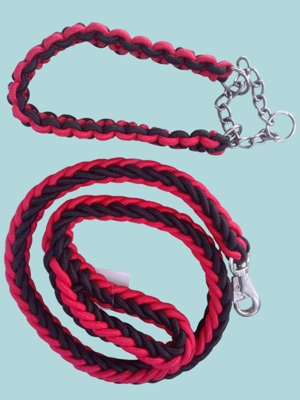 Collar con correa para mascotas. - Imagen 4