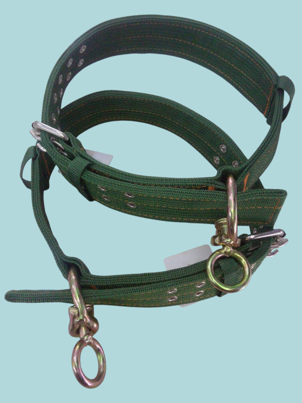 Collares para mascotas grandes. - Imagen 2