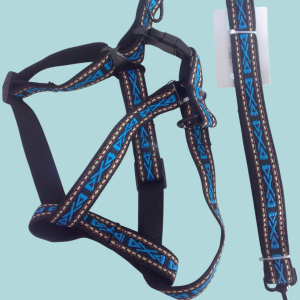 Pechera con correa para pasear mascotas.
