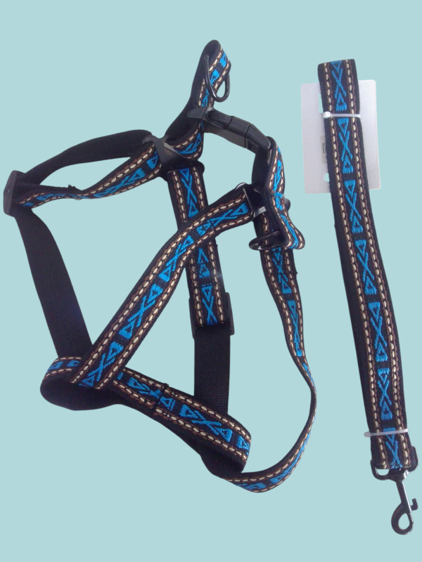 Pechera con correa para pasear mascotas.
