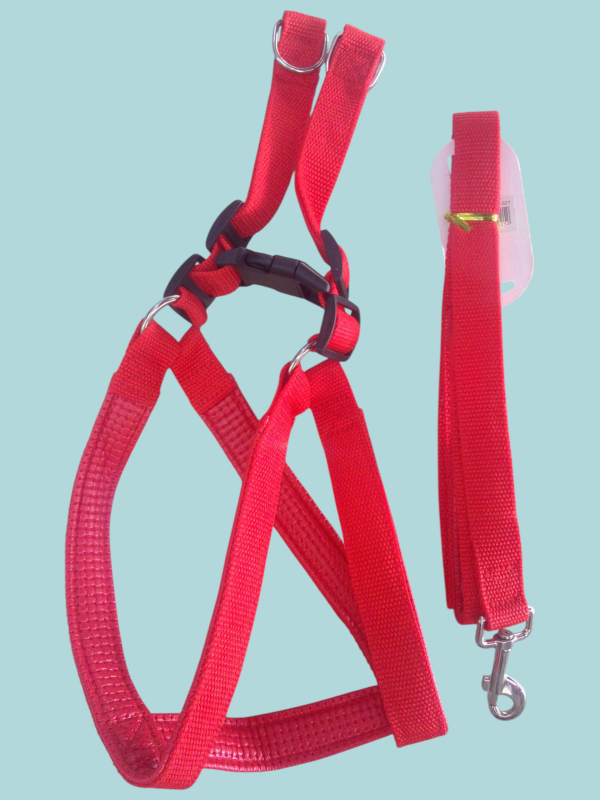 Pechera con correa para pasear mascotas.