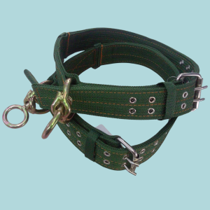 Collares para mascotas grandes.