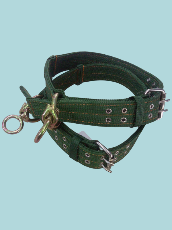 Collares para mascotas grandes.