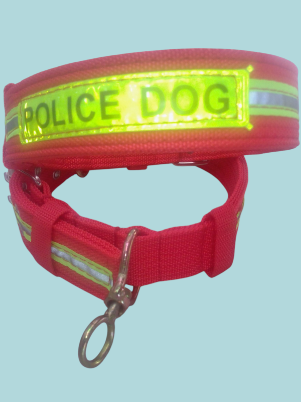 Collares para mascotas. - Imagen 3