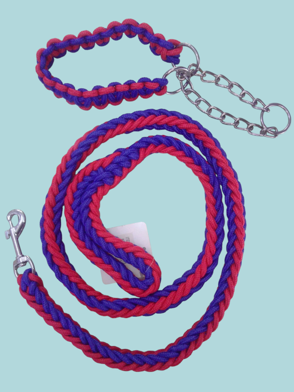Collar con correa para pasear mascotas. - Imagen 3