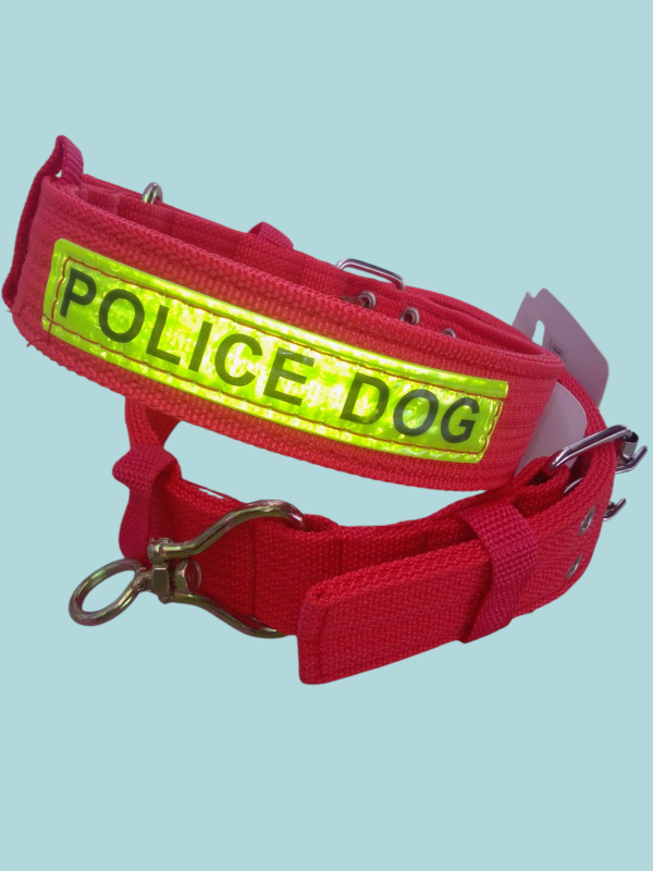 Collares para mascotas. - Imagen 4
