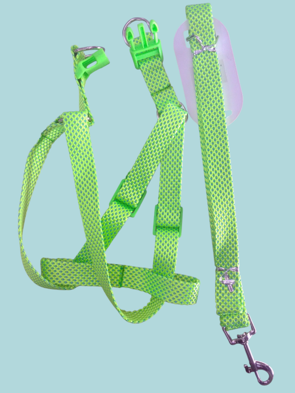 Pechera con su correa para pasear con su mascota. - Imagen 2