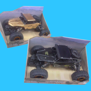 BUGGY TODO TERRENO. DANNY HOME.