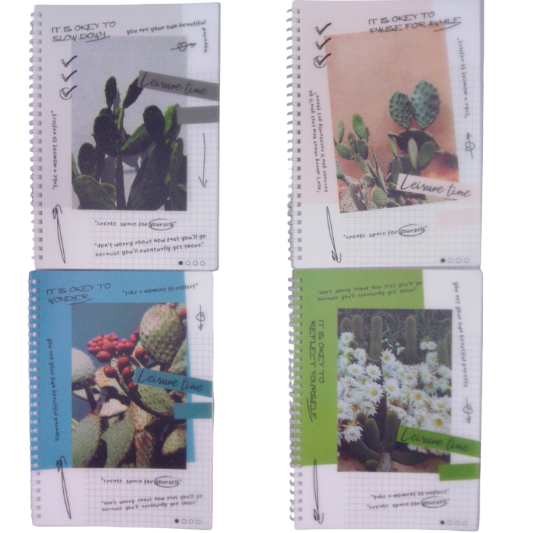 CUADERNOS RAYADO COMÚN.