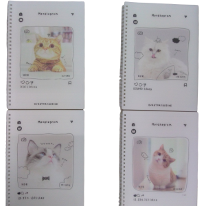 CUADERNOS RAYADOS COMÚN.