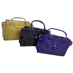Bolsos para damas de salir.