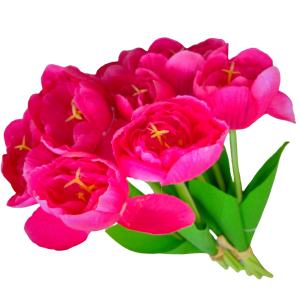 Flores artificiales tulipanes.