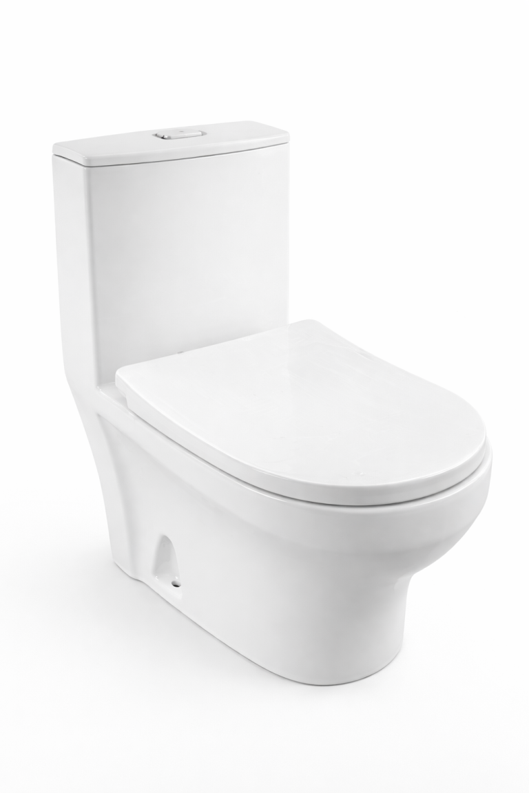 Inodoro Moderno Compacto Blanco