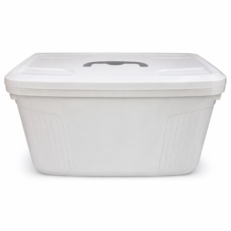 Caja Organizadora Plástica con Tapa