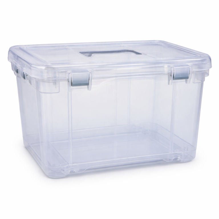 Caja Organizadora Transparente con Tapa