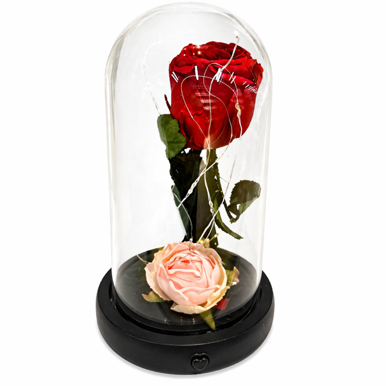 Flor eterna con luz led en cúpula